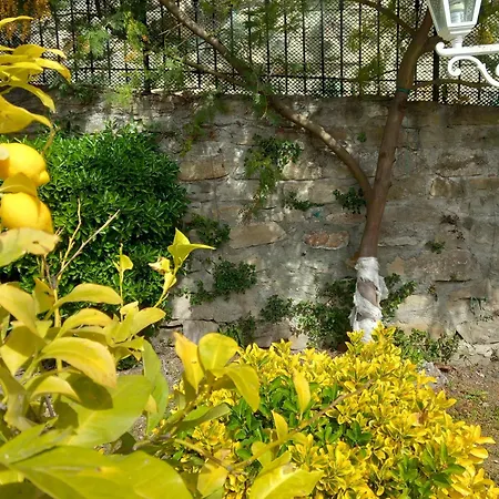 La Maison Des Reves -langhe Piemonte Villa Torre Bormida