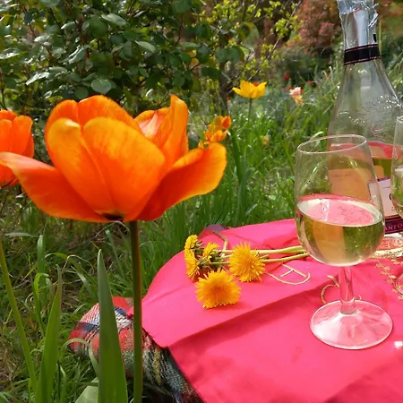 La Maison Des Reves -langhe Piemonte Torre Bormida