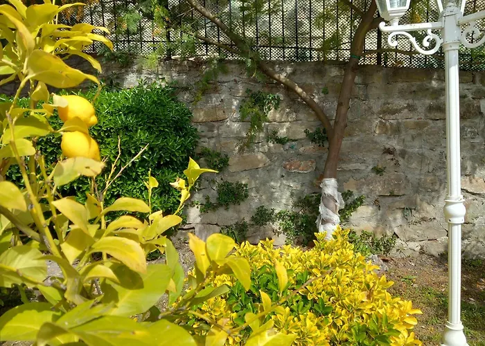 La Maison Des Reves -langhe Piemonte Villa Torre Bormida