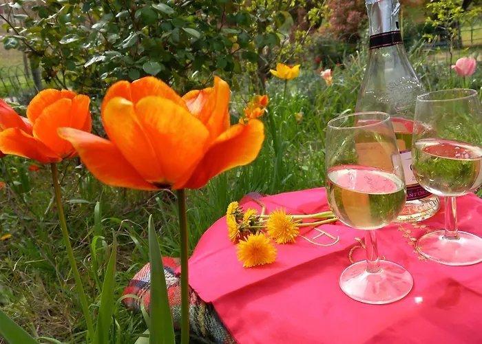 La Maison Des Reves -langhe Piemonte Torre Bormida